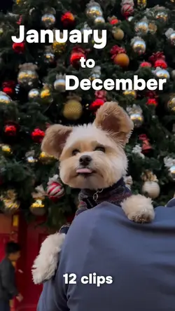 January to December