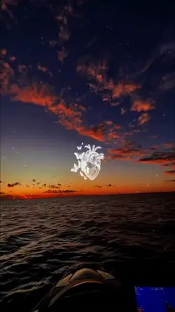 Slow Mo