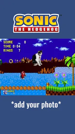SONIC