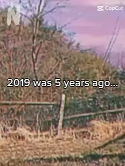 2019..?