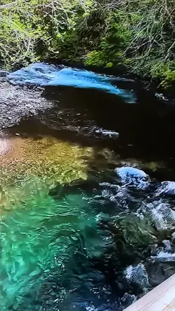 Paraíso 