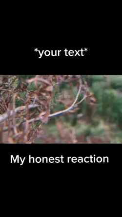 Romantic meme