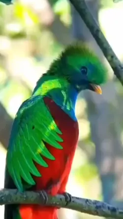 Guatemala 