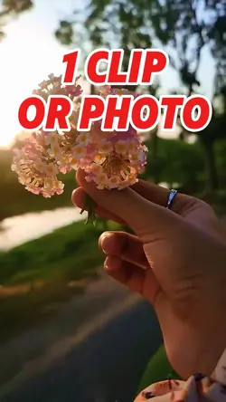 Mini vlog
