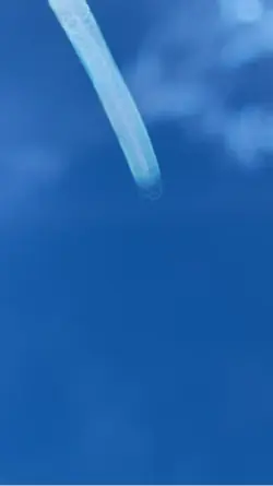 Way Down We Go
