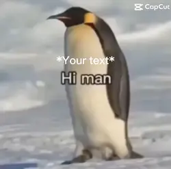 Penguin Meme