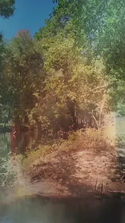 cuntryboycansurvive