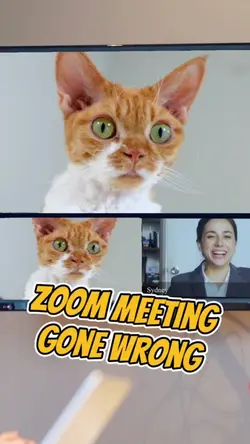 Zoom Meeting Fun
