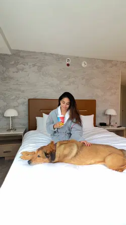staycation 