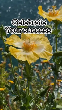 Celebrate success 