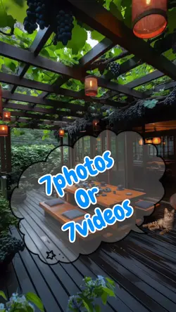 7photos/videos