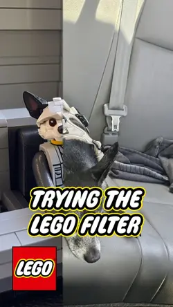 My Lego Doggy