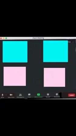 Zoom meeting 🎤 pt 2 