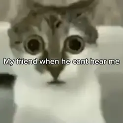 Huh?