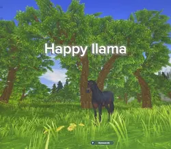 Llama 🤣