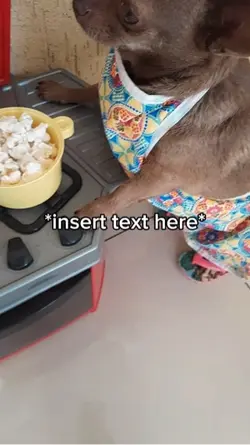 Popcorn Dog