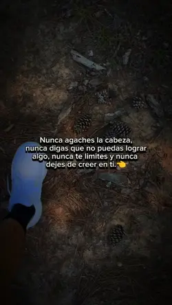 reflexión de la vida
