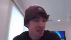 Flamingo meme