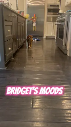 Moods emojis