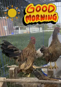 Good Morning
