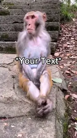 Sad monkey