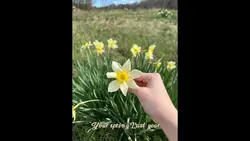 SPRINGG!!!