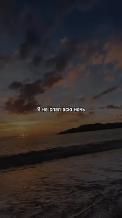 Шикарна X1