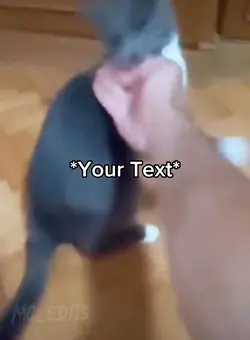 Combat 