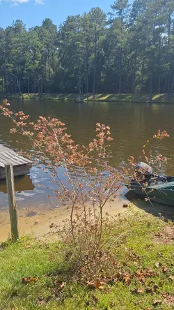 Labor Day Lake Time
