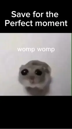 Sad cat 😭 