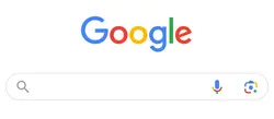 Google Search 