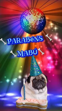 Dog Parabéns