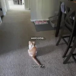 <3