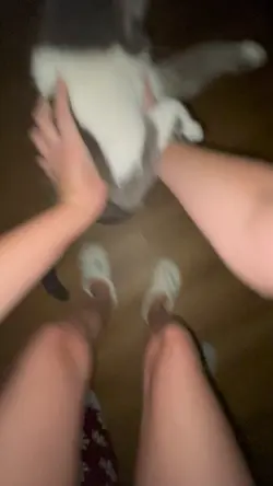 SIMBA😼
