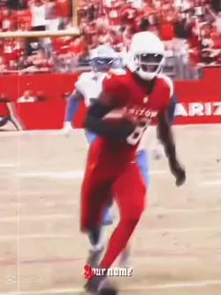 AZ Cardinals edit
