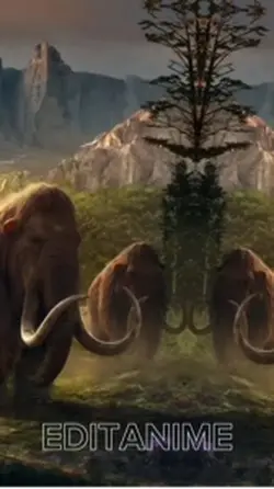 Ice Ages.