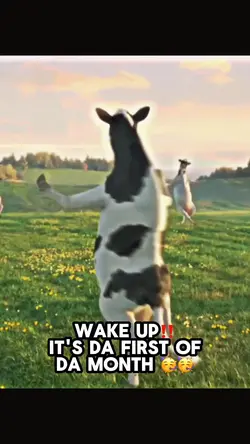 Wake up!!!