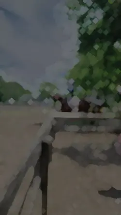 #horse show#