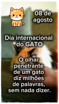Dia do GATO
