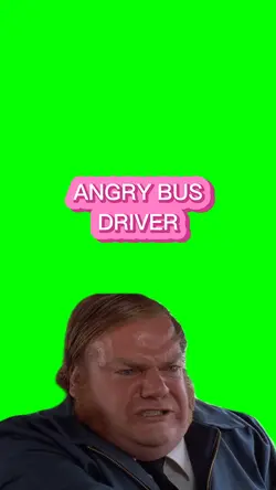 Angry Bus Driver