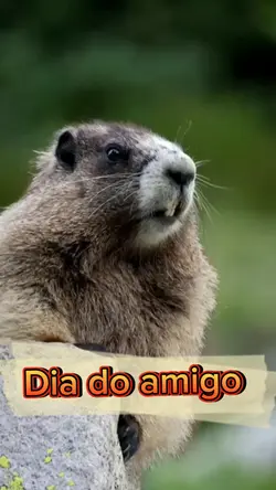 dia do amigo 