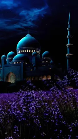 الإسلام هو الحب ❤️