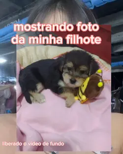 My dog