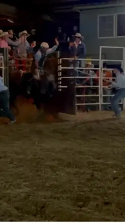 Rodeo 