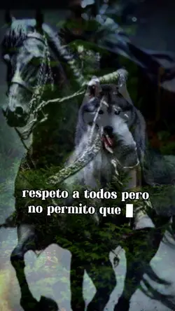 Reflexion 