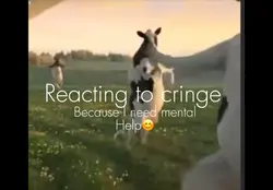 reacting to cringe! 