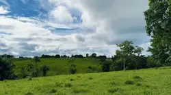 Vida na fazenda 