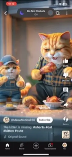 Cat story