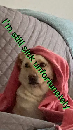 Funny meme