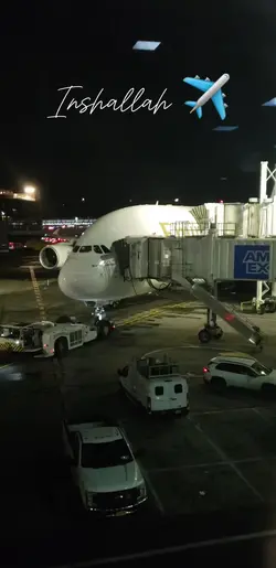Catch flights 